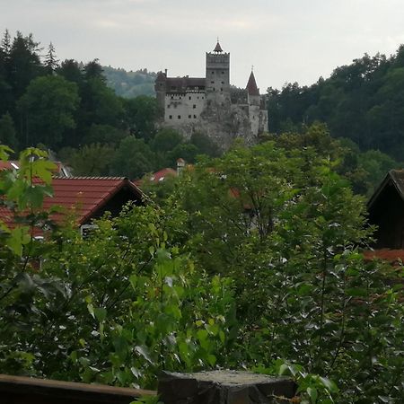 Pensiunea Transilvania Lodge Bran  Zewnętrze zdjęcie