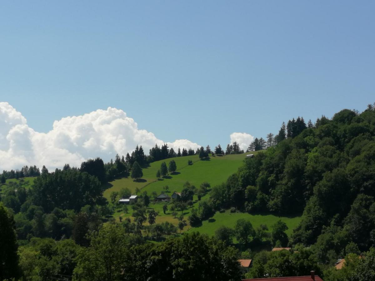 Pensiunea Transilvania Lodge Bran  Zewnętrze zdjęcie