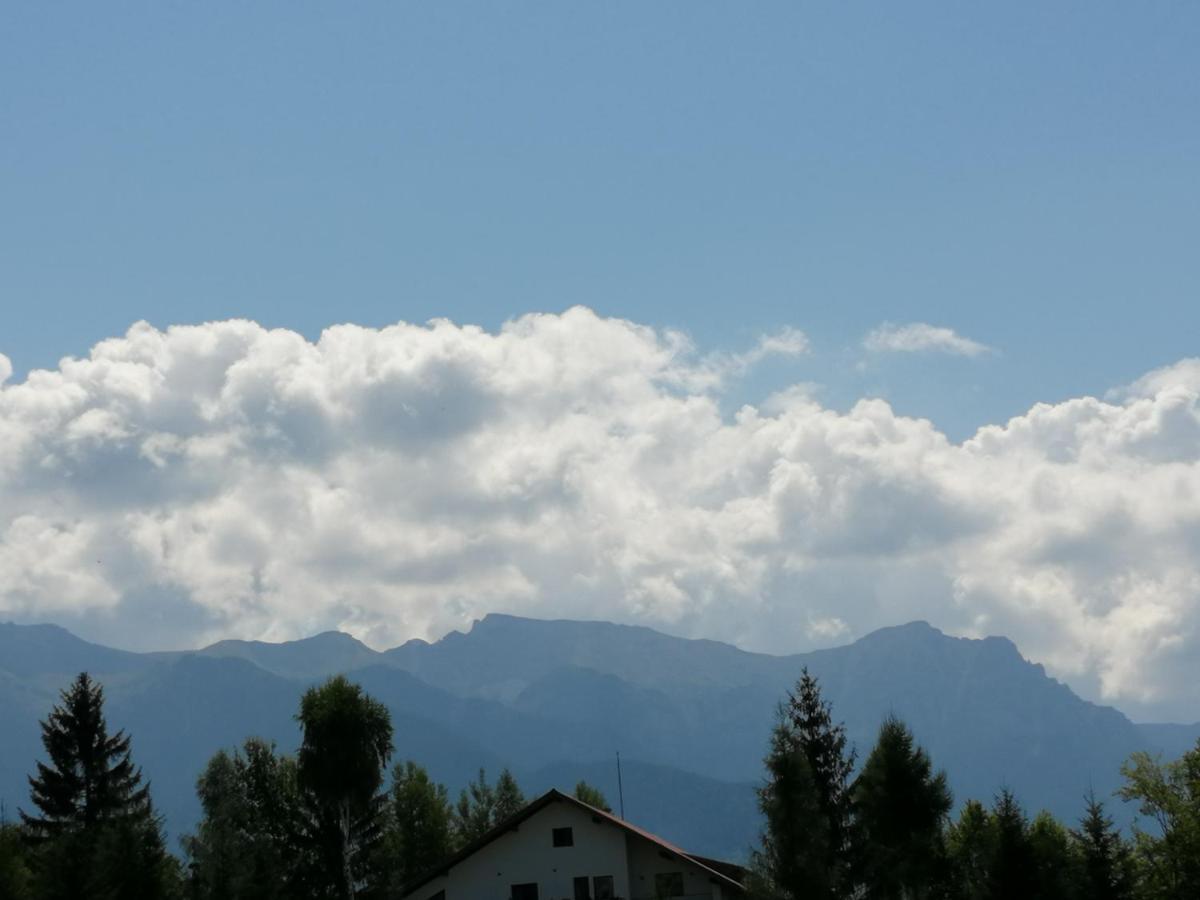 Pensiunea Transilvania Lodge Bran  Zewnętrze zdjęcie