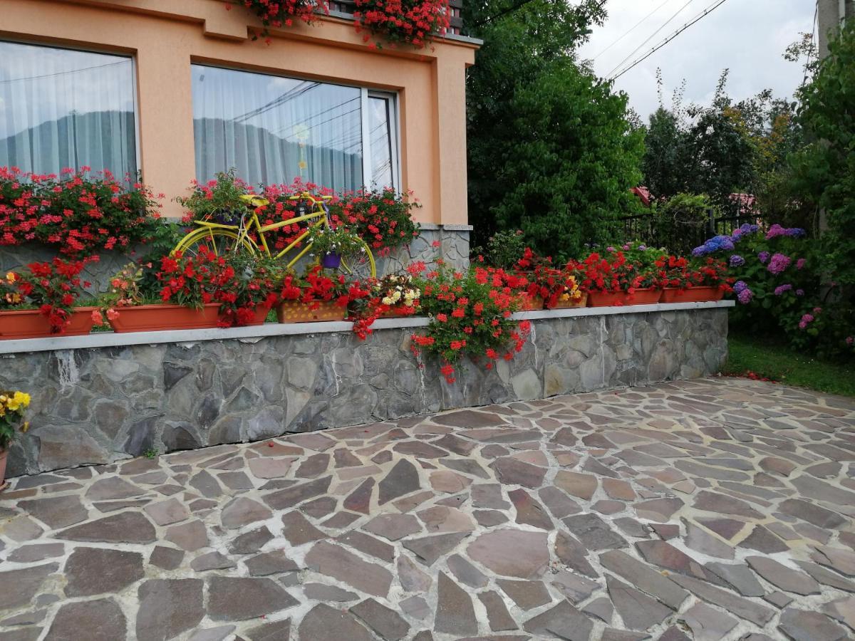 Pensiunea Transilvania Lodge Bran  Zewnętrze zdjęcie