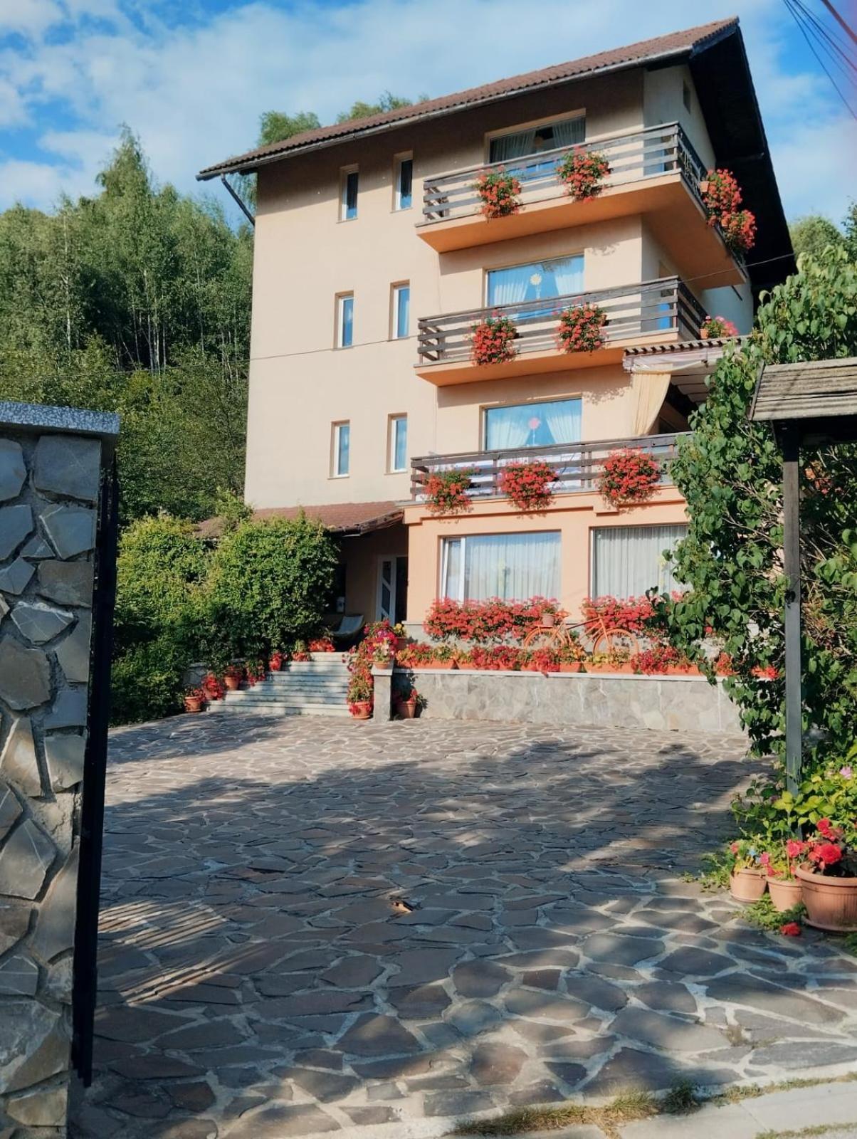 Pensiunea Transilvania Lodge Bran  Zewnętrze zdjęcie