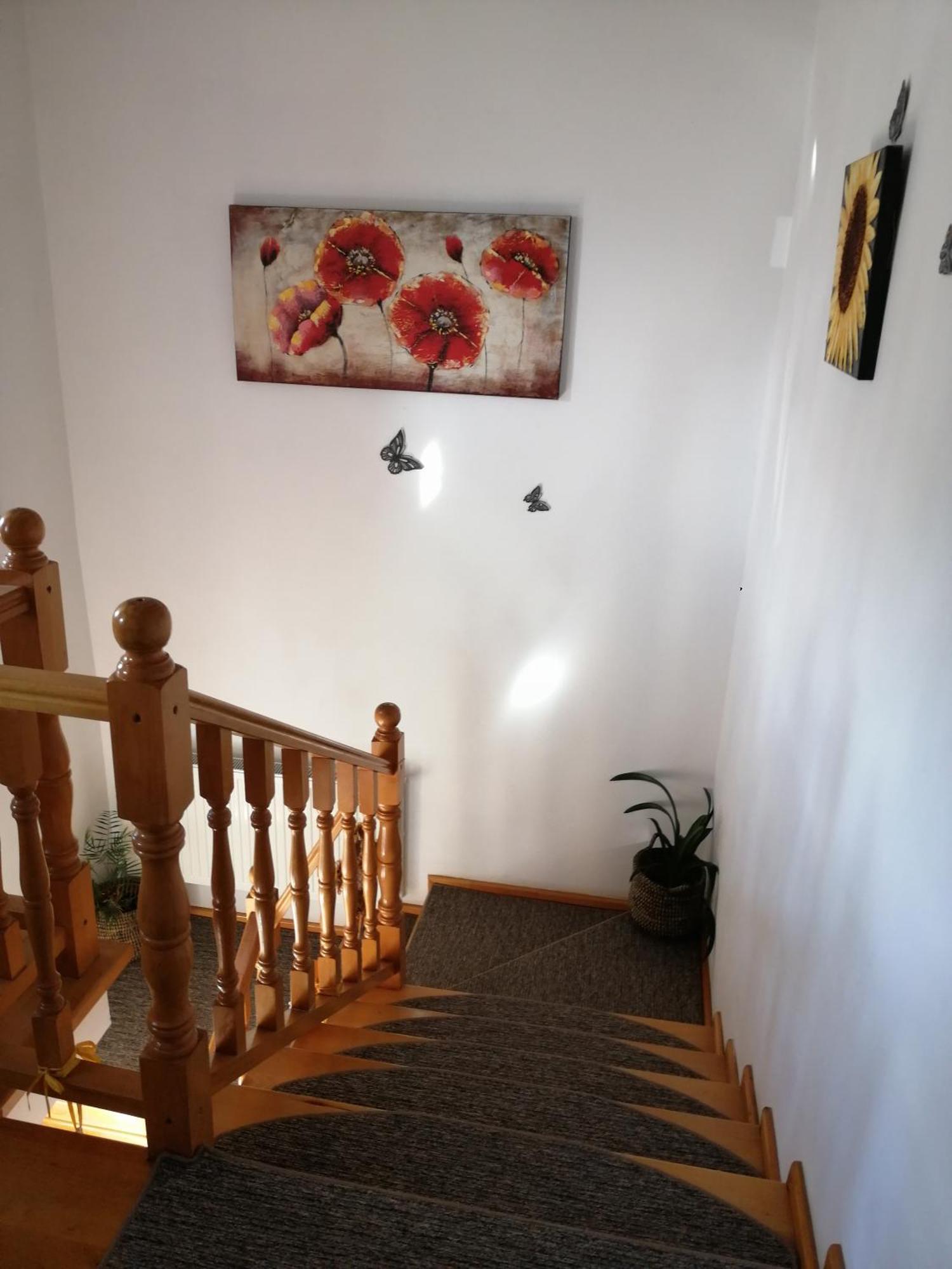 Pensiunea Transilvania Lodge Bran  Zewnętrze zdjęcie