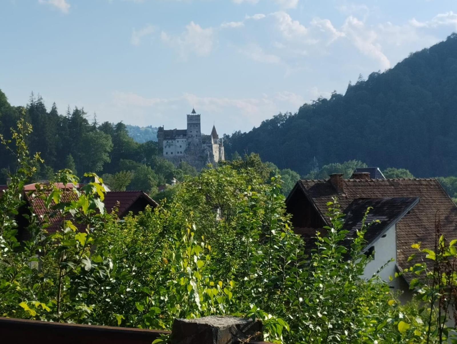 Pensiunea Transilvania Lodge Bran  Zewnętrze zdjęcie